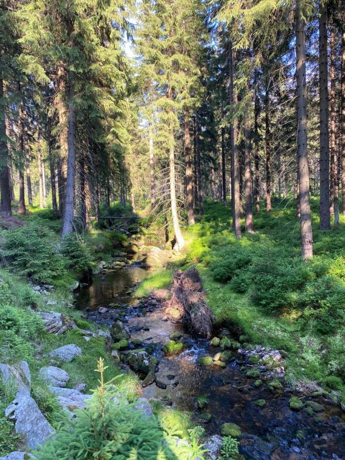 Ski Sun Sea - Rodzinny Apartament Pod Gondola Swieradow-Zdroj Luaran gambar