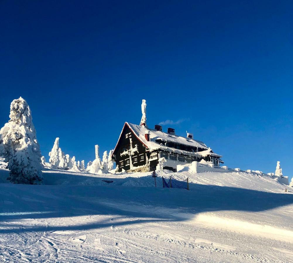 Ski Sun Sea - Rodzinny Apartament Pod Gondola Swieradow-Zdroj Luaran gambar